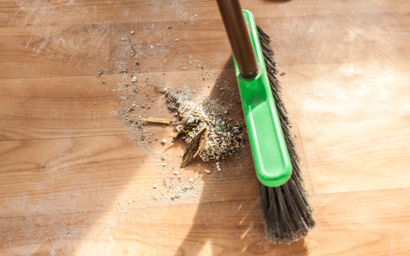 RCS_Broom_800x500